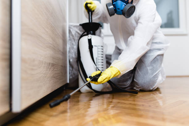 Best Bed Bug Extermination  in West Unity, OH