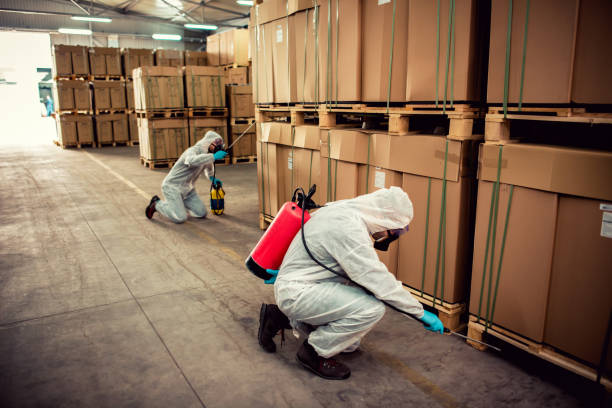 Best Flea Control Services  in West Unity, OH