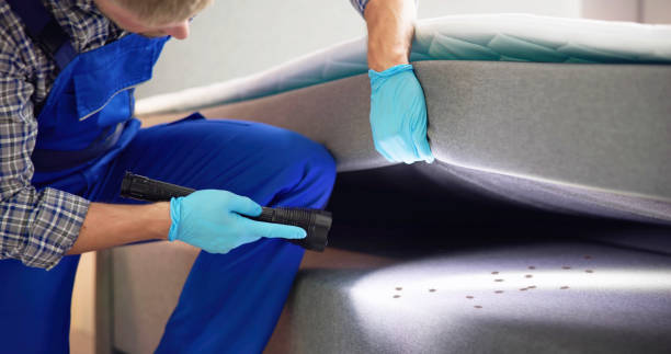 Best Pest Control Near Me in West Unity, OH