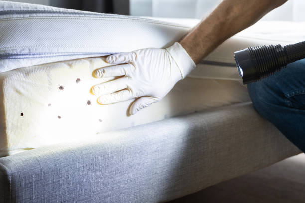 Best Bed Bug Extermination  in West Unity, OH