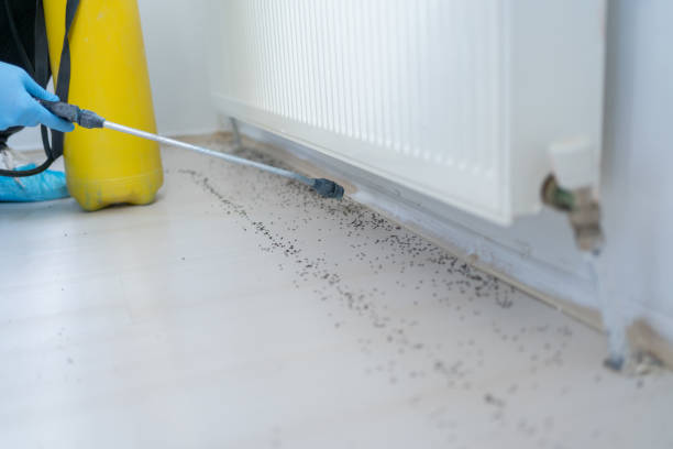 Best Pest Removal Services  in West Unity, OH