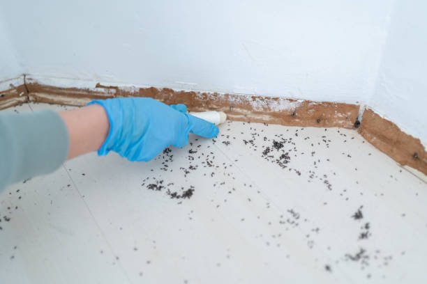 Reliable West Unity, OH Pest Control Solutions