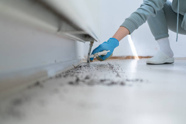 Best Termite Control Services  in West Unity, OH