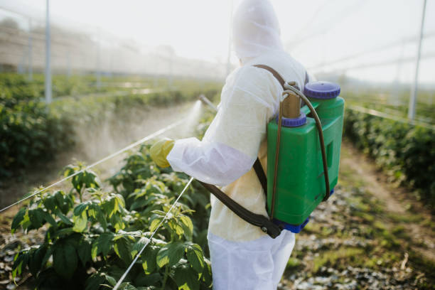 Best Wasp Removal Services  in West Unity, OH
